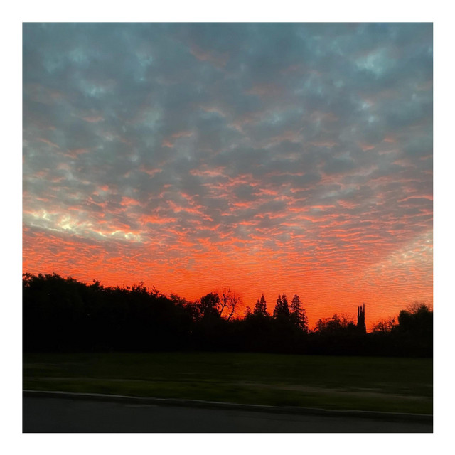 january. album cover