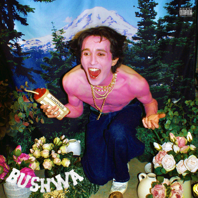 BUSHWA album cover