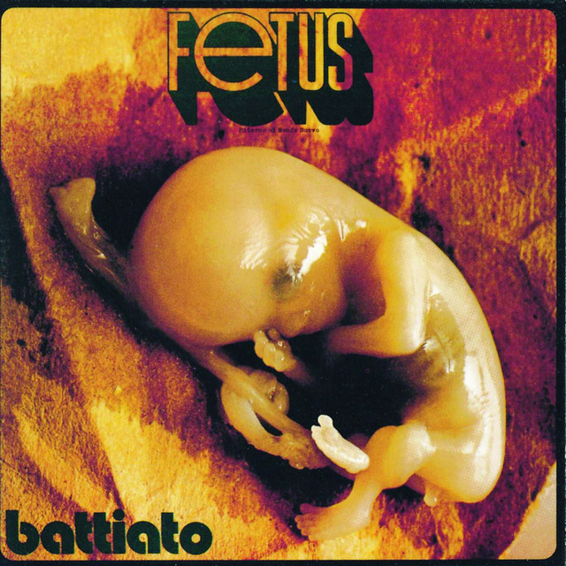 Fetus album cover