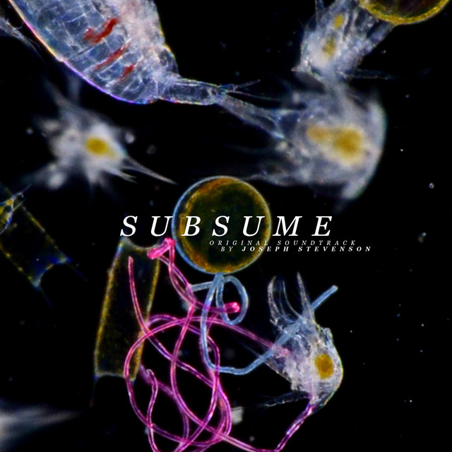 Subsume (Original Soundtrack) album cover