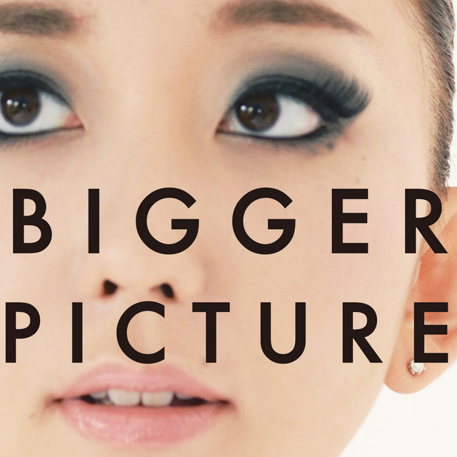 BIGGER PICTURE album cover