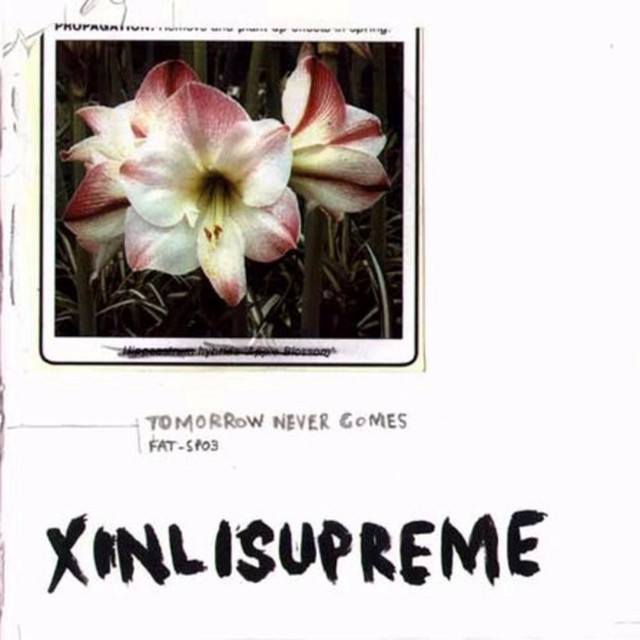 Tomorrow Never Comes album cover