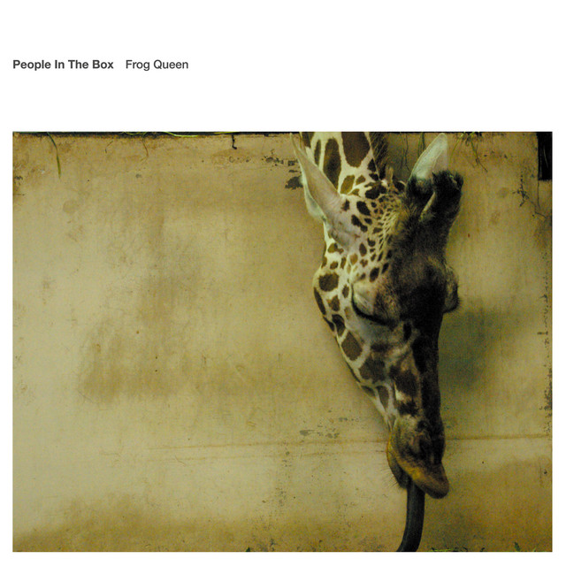 Frog Queen album cover
