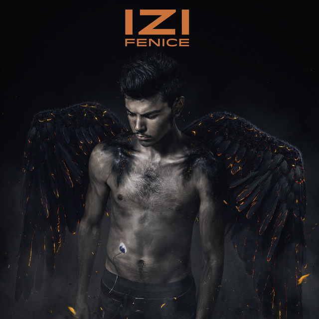 Fenice album cover