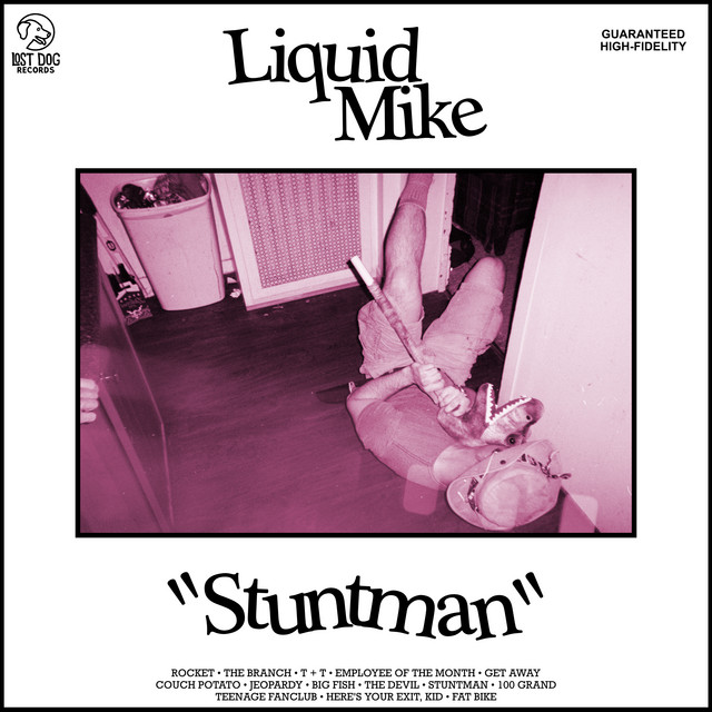 Stuntman album cover