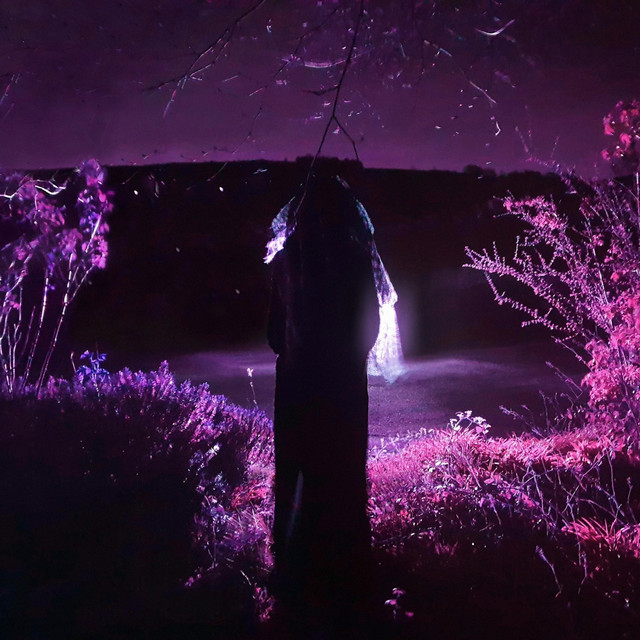 Entity album cover
