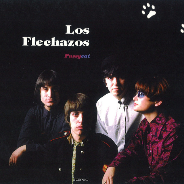 Pussycat (Recorded Live At The Beat-O-Mania 96, Munich) album cover