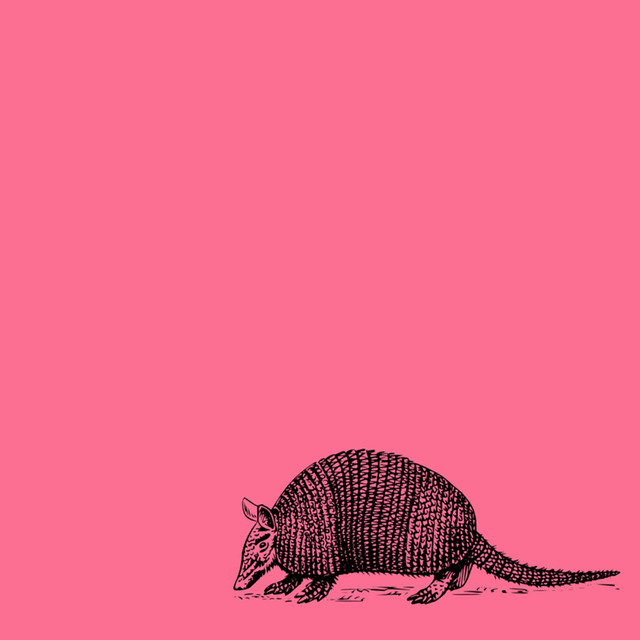Approaching Bearable album cover
