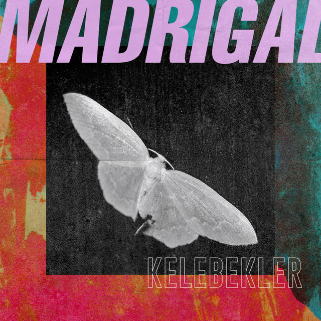 Madrigal – Kelebekler album cover