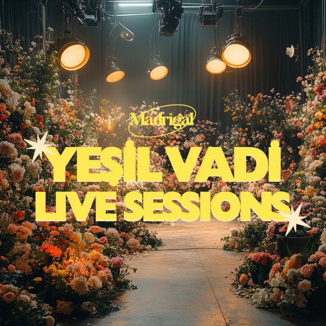 Boss VB-2W Vibrato as heard on Yeşil Vadi Live Sessions by Madrigal (2024)