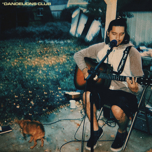 Dandelions Club album cover