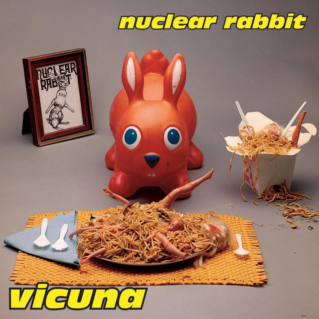 Vicuna album cover