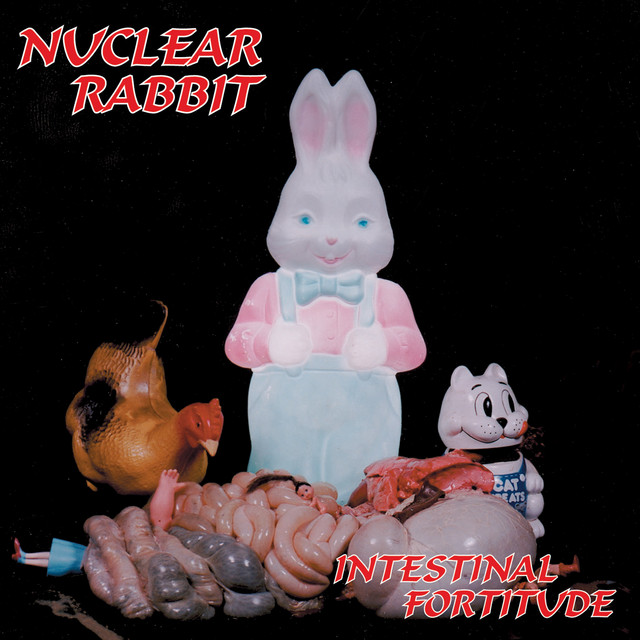 Intestinal Fortitude album cover