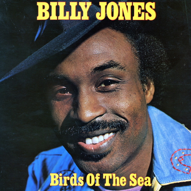 Birds of the Sea album cover