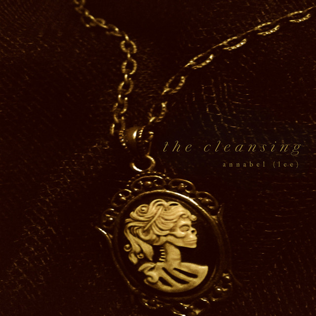 The Cleansing album cover
