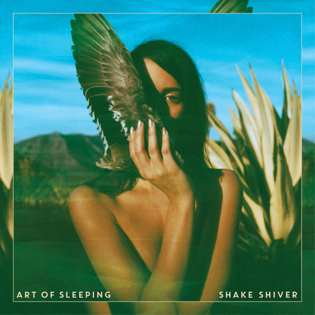 Shake Shiver album cover