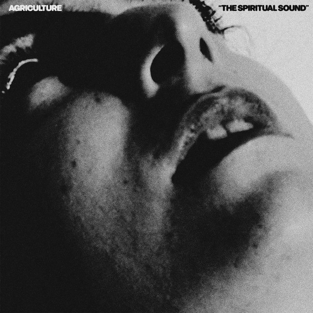 The Spiritual Sound album cover