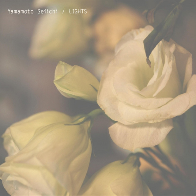 LIGHTS album cover