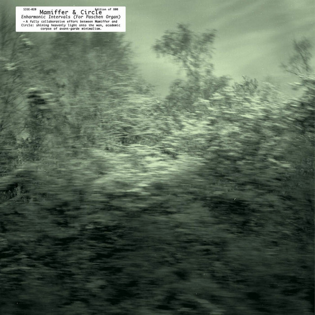 Enharmonic Intervals (For Paschen Organ) album cover