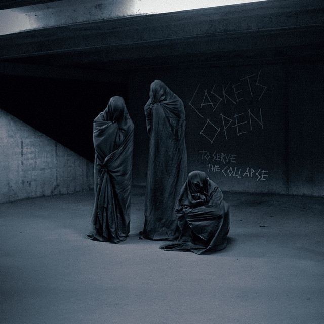 To Serve the Collapse album cover