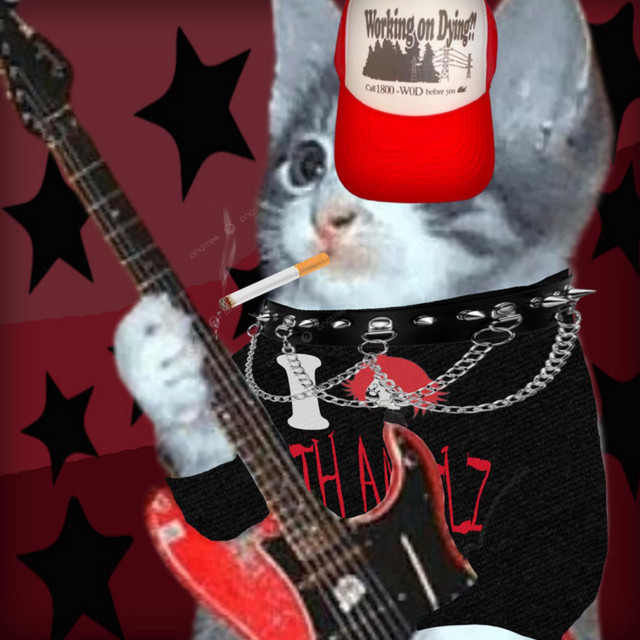 i fucking hate fiona gallagher album cover