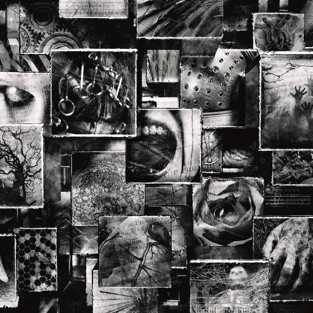 ENIGMA album cover
