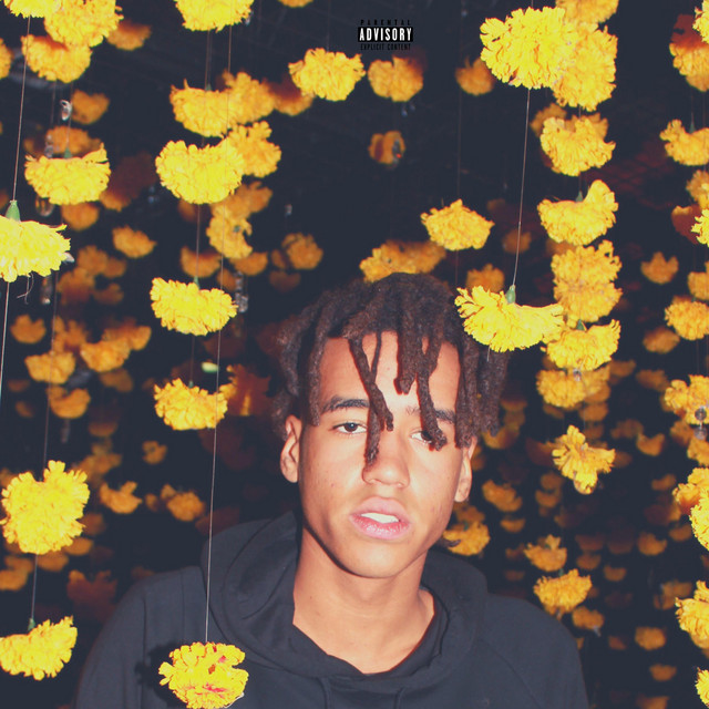 Blessings in Disguise album cover