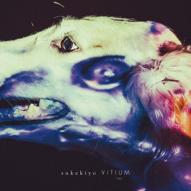 VITIUM album cover