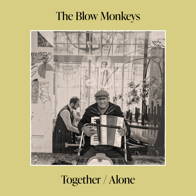 Mackie D8B as heard on Together/Alone by The Blow Monkeys (2024)