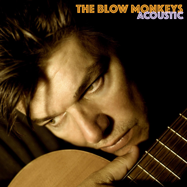 Acoustic album cover