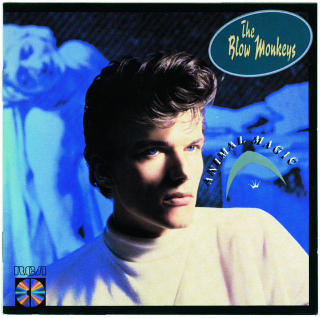 洋楽 The Blow Monkeys Whoops Japan CD Promo The Blow Monkeys Members, Gear & Sound | Equipboard