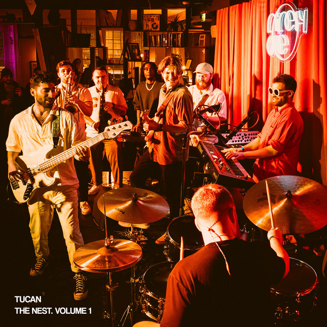 THE NEST. VOLUME 1 album cover