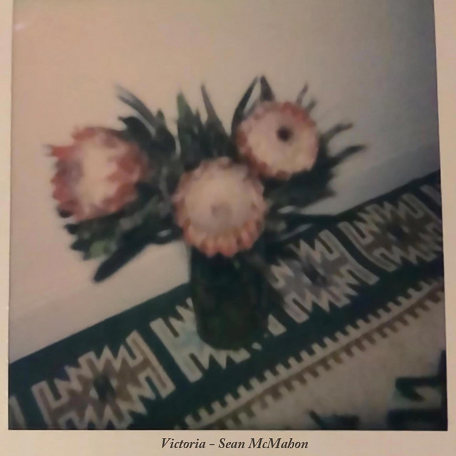 VICTORIA album cover