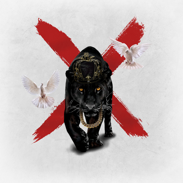 Panther X album cover