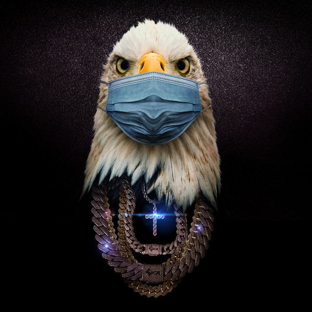 Bird Flu album cover