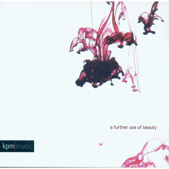 A Further Use of Beauty album cover