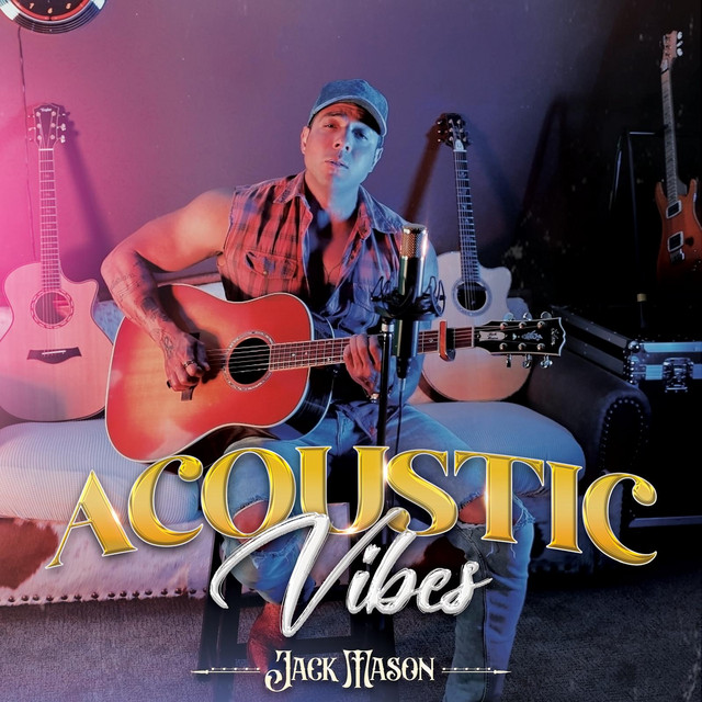 Acoustic Vibes album cover
