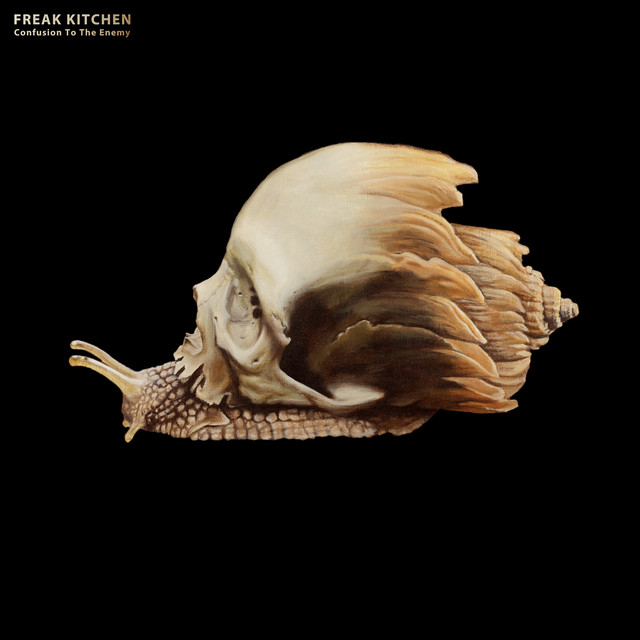 Confusion to the Enemy album cover