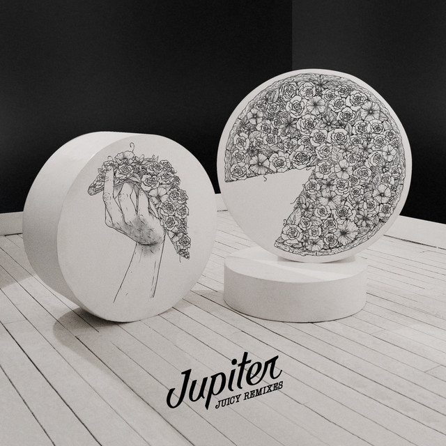 Juicy Remixes album cover
