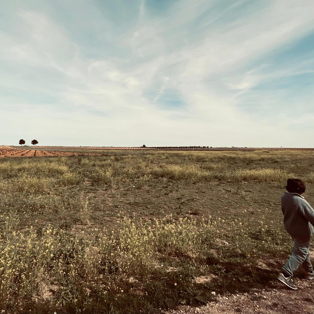 mniepol album cover