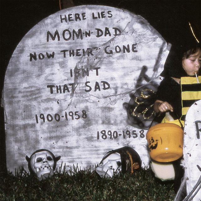 The Spirit Of The Beehive album cover