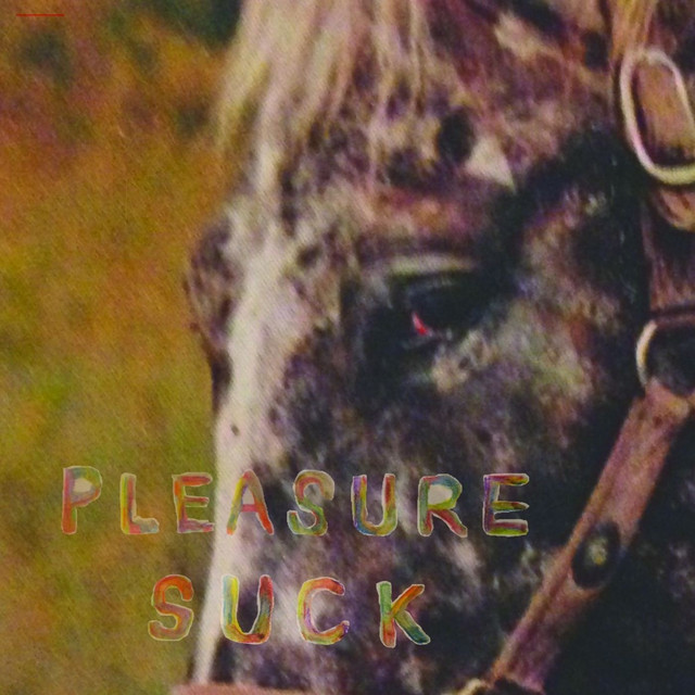Pleasure Suck album cover