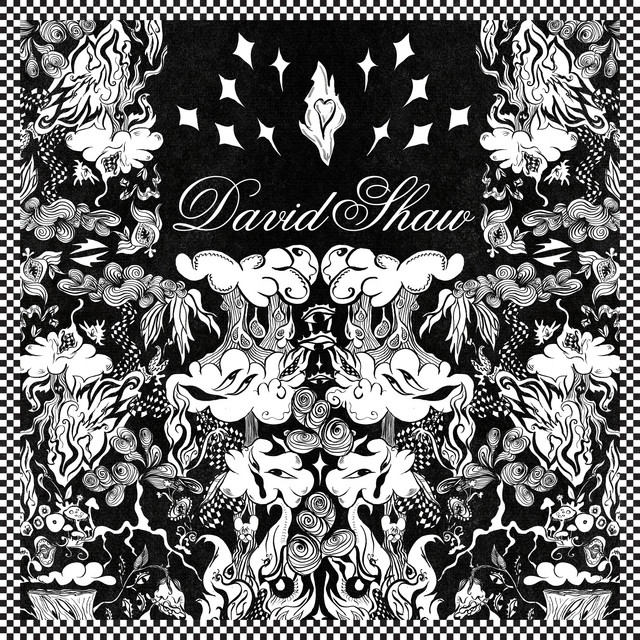 David Shaw album cover