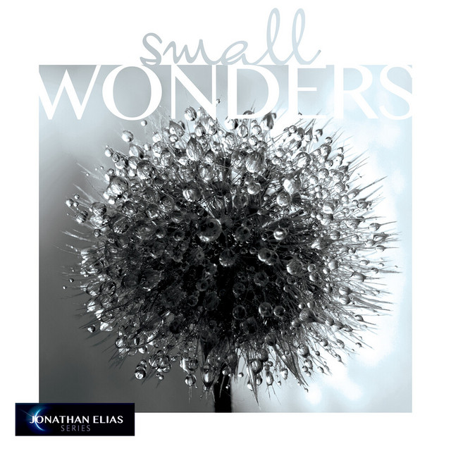 Small Wonders album cover