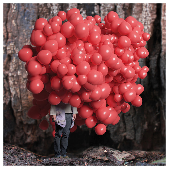 Forest Standards Vol. 2 album cover