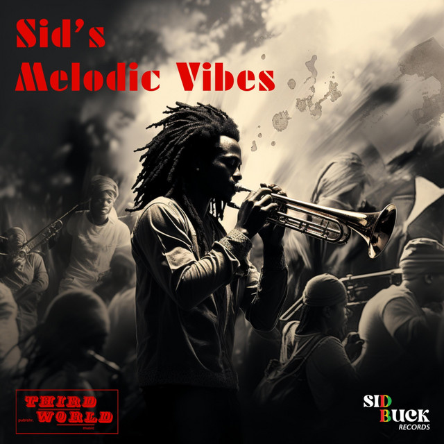 Sid's Melodic Vibes album cover