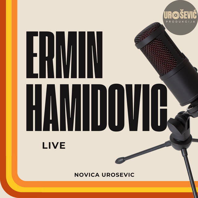 Najveci hitovi album cover