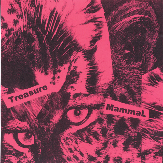 Treasure Mammal album cover