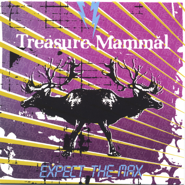 Expect The Max album cover