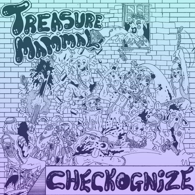 Checkognize album cover